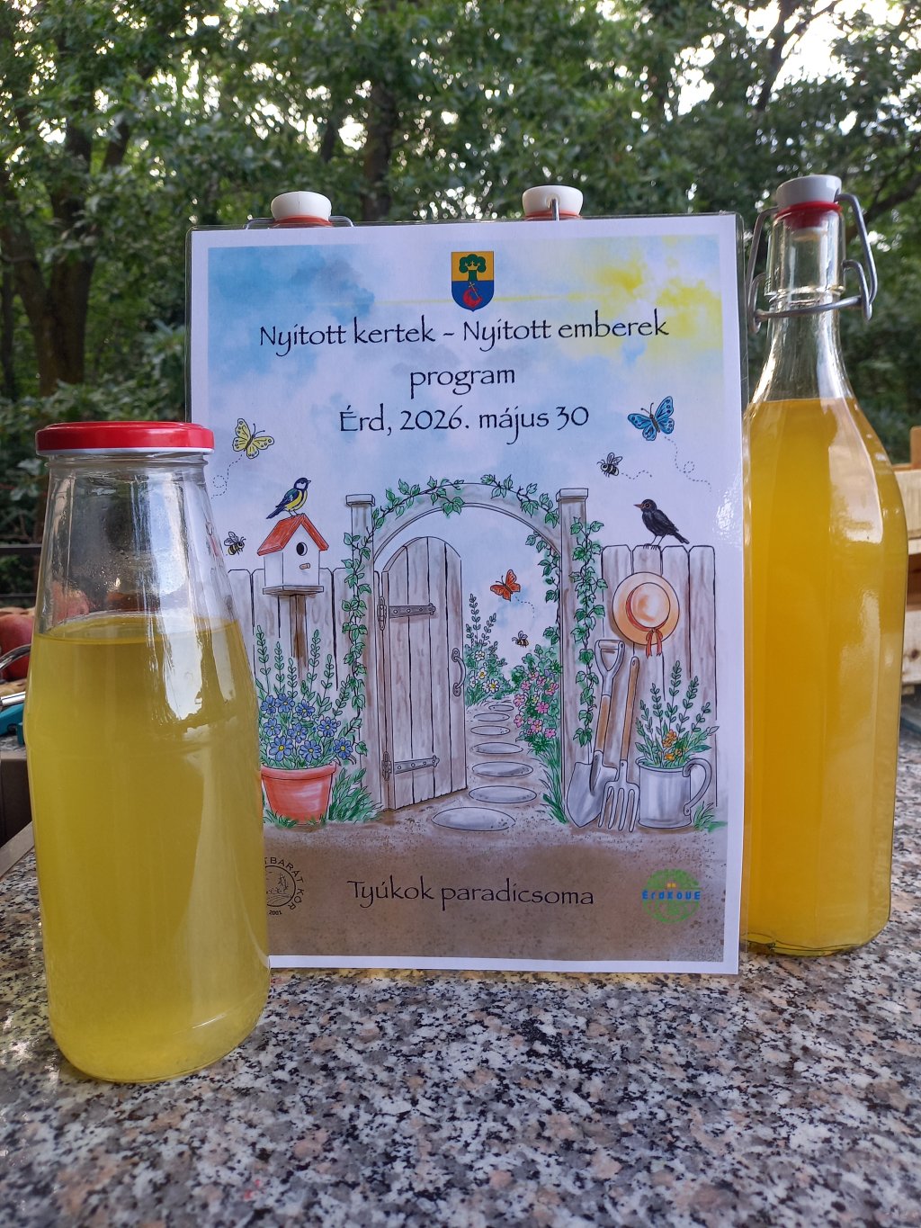 Feltöltött kép